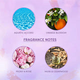 lawogiamkis3 - Layer'r Wottagirl Body Splash Spray Amber Kiss, For Women - 135ml (Pack of 3) - Looknstyle