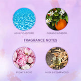 Layer'r Wottagirl Body Splash Spray Amber Kiss, For Women-135ml (Pack of 2)