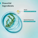 Pilgrim Spanish Rosemary & Biotin Anti Hairfall Conditioner (200ml)