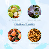 laymayis-1 - Layer'r Wottagirl Body Splash Mystic Island For Women (135ml) - Looknstyle