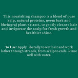 Biotique Ocean Kelp Anti Hair Fall Shampoo (340ml)