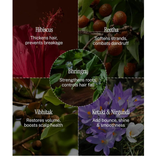 JUNGLE BERRY Hibiscus & Soap Berry Conditioner | Paraben-Free Anti Hair Fall Formula with Ketaki & Arishtak | For Silky Hair & Strong Roots | 200 ml