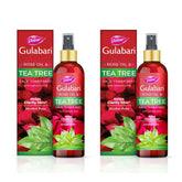Dabur Gulabari Rose Oil & Tea Tree Face Toner Mist & Rosewater with Salicylic Acid - 100ml