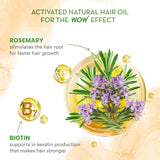 Wow Rosemary Hair Growth Oil To Control Hair Fall (100ml)