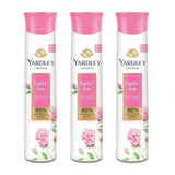 Yardley London pink english rose deo PACK OF 3 Deodorant Spray - For Women (450 ml)