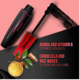 fccurlmascara - FACES CANADA Magneteyes Curl Xtreme Mascara - Black, 8g | Curls Lashes | Waterproof | Quick Drying | Long Wear | Intense Black Finish | Lightweight | Enriched With Jojoba Oil & Vitamin E - Looknstyle