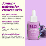 PLIX - THE PLANT FIX Jamun Face Wash and Acne Marks Serum Combo(100ml + 30ml) For Acne spots & Oil Control, For Breakouts | Oily & Acne Prone Skin | Women & Men - Deals999