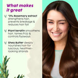PLIX - THE PLANT FIX | Rosemary Anti Hairfall Kit - Serum (30ml), Shampoo (200ml), Conditioner (175ml) & Hair Mask (200g) | For Hair Thinning, New Hair Growth ( pack of 4) - Deals999