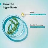 plahfcod - Pilgrim Spanish Rosemary & Biotin Anti Hairfall Conditioner (200ml) - Looknstyle