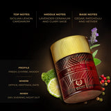 DENVER MAGNUS Gentlemen Collection Eau de Parfum  (100ml )