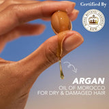 Herbal Essences bio:renew Argan Oil of Morocco Shampoo (400ml)