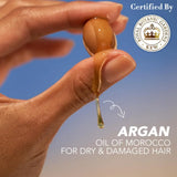 Herbal Essences bio:renew Argan Oil of Morocco Shampoo (400ml)