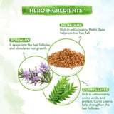 maromaoil - Mamaearth Rosemary Hair Growth Oil with Rosemary & Methi Dana for Promoting Hair Growth (100ml) - Looknstyle