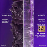 ogx3 - OGX Thick & Full + Biotin & Collagen Volumizing Shampoo for Thin Hair, Thickening Shampoo with Vitamin B7 & Hydrolyzed Wheat Protein, Paraben - Free, Sulfate - Free Surfactants, 385ml - Looknstyle