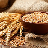 ogx5 - OGX Thick & Full Biotin & Collagen Volumizing Conditioner | Vitamin B7, Collagen & Hydrolyzed Wheat Protein, For Thicker, Fuller, Healthier looking hair, Sulfate Parabens Free (385ml) - Looknstyle