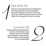 bttho - Brillare Tea Tree Hair Oil, with the Goodness of Lemon & Sunflower Oil, Dry, Itchy Scalp, 100% Natural Hair Oil, 100ml - Looknstyle