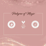 Colorbar Spotlight Illuminating Lotion, 30ml | Enriched with Hyaluronic Acid, Mulberry Extract | Mineral oils | Long-lasting glow