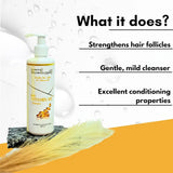 SHOWSTOPPERVITAMIN-B5 - Enchanting Showstopper Pro - Vitamin B5 Shampoo for Hair Strengthening & Moisture Lock | Hydrating Daily Care for Smooth, Shiny Hair | Gentle Cleansing... - Looknstyle