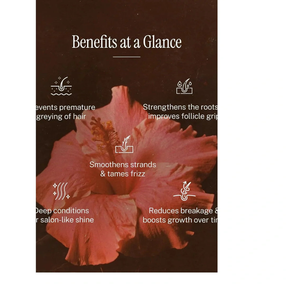 JUNGLE BERRY  Hibiscus & Black Seed Hair Oil | Combats Hair Fall | Vitamin E Nourishes Roots (50 ml