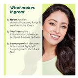 pxharoil - PLIX - THE PLANT FIX Neem Anti - Dandruff Advanced Hair Oil | Reduces Dandruff | Soothes Itchy Scalp | Calms Inflammation | Non - Greasy & Lightweight | Dermatogically Tested |100ml - Looknstyle