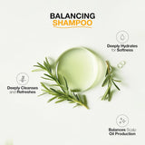 GK Hair Global Keratin Balancing Shampoo 300ml For Oily Hair And Scalp Restores Scalp pH Level - Sulfate And Paraben Free