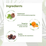 moisturizer honey liqorice 50ml - Jungleberry Honey & Liquorice Moisturise50ml - Looknstyle