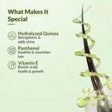 anti hairloss con - FIXDERMA Kairfoll Anti Hair Loss Conditioner, Conditioner For Hair Growth & Hair Fall Control, Hair Conditioner For Dry Frizzy Hair, Conditioner For Women - 200 Gram - Natural - Looknstyle