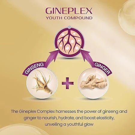 ly1 - Lotus Herbals YouthRx Power Regimen Pack with Anti - Ageing Day Cream and Night Cream | Reduces Fine Lines, Wrinkles | Boosts Glow, Ginger and Ginseng | For Oily, Dry, Combination Skin | 100g - Looknstyle