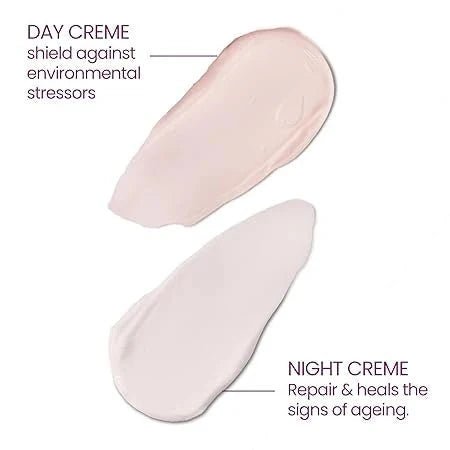 ly1 - Lotus Herbals YouthRx Power Regimen Pack with Anti - Ageing Day Cream and Night Cream | Reduces Fine Lines, Wrinkles | Boosts Glow, Ginger and Ginseng | For Oily, Dry, Combination Skin | 100g - Looknstyle