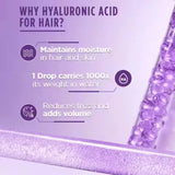 L'Oreal Paris Hyaluron Moisture 72H Moisture Filling Shampoo (340ml)