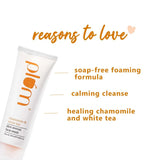 Plum Skin Revival Face Wash - Chamomile & White Tea, 120 ml