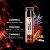 ws22 - Wild Stone Bronze No Gas Deodorant For Men 120ml (Pack of 3) - Looknstyle